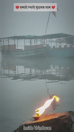 Shri Vrindavan Morning Bliss🕉️💫✨❤️#love#vrindavan#vrialshort#Insidevrindavan#bhakti#radheradhe#Brij