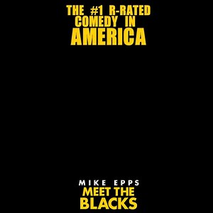 224K views · 529 shares | Meet the Blacks is the #1 R-Rated Comedy in America! This weekend was the first time a 100% indie movie opened in the top 10 of the country! We wanna thank you all one more time! Tell your friends who haven't seen it, about #MeetTheBlacks! Let's break records again this weekend! #thankyou #supportindiefilm #supportblackfilms #comedy | Meet the Blacks | Facebook