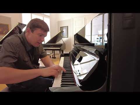 Bösendorfer Grand Upright 120 in concert - Pavel Kachnov, piano