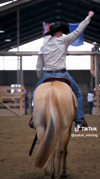 Eye catcher🔥 #reining #futurityhorse #fyp #horseshow #showhorse