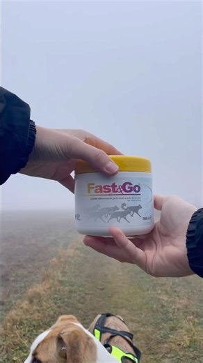 Fast&Go® is the ultimate warm-up partner for performing sled- and active dogs. ❄️