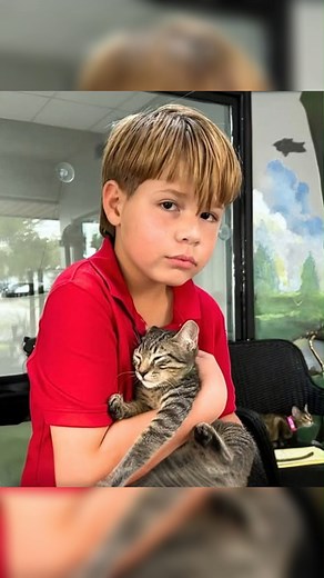 10-Year-Old Joel Batarseh Missing in Lake County, FL — Community Help Needed #MissingChild #BringJoelHome #LakeCountyFL #LeesburgFL #Florida #AmberAlert #MissingKids #ShareToHelp | Final Trace