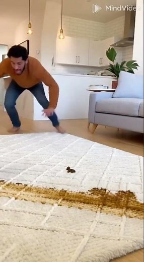 That Moment When Roomba Regrets Everything 😂