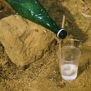 93K views · 106 reactions | Make dirty Water Drinkable again! | 5-Minute Crafts Play | Facebook