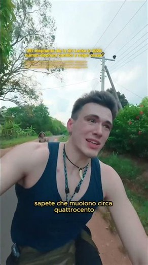 YOU CAN'T RIDE A BIKE HERE🫠 click⬆️ #animals #massele
