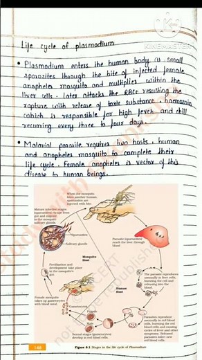 Class 12th || BIOLOGY || HUMAN HEALTH AND DISEASES || NOTES & EXERCISE