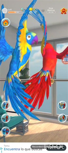 Vtech laptop little smart talking parrots dance with parrots