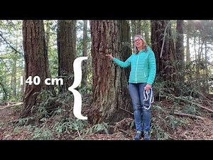 Measuring Trees
