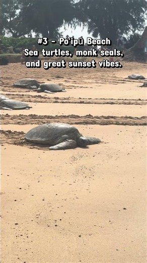 3 Must See Beaches in Kauai #kauai #nature #beachvibes