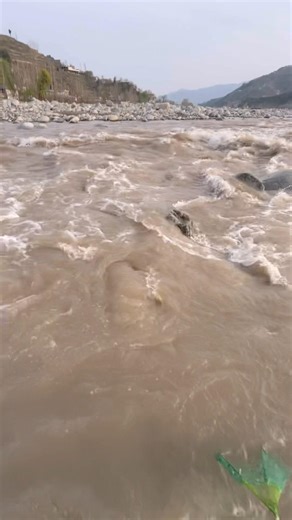 Bad Cast Net Throw | No Fish Catch #fishing #handfish #fishingline #fishingvideo Today 🎣❌