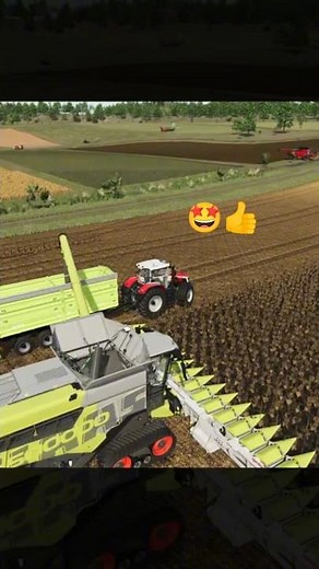 🌻Sunflowers Harvest 2025 | Farming Simulator 25