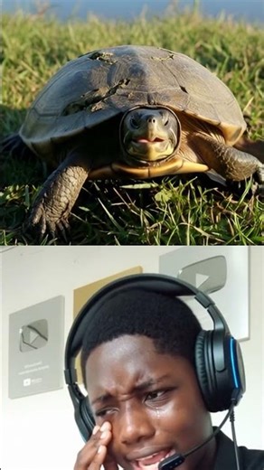 He Broke His Shell #shorts