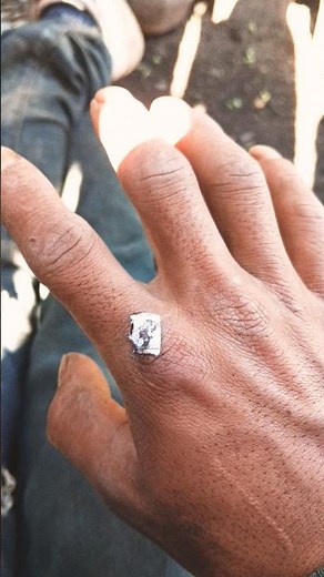 I Bought A Snake As A Pet #shorts