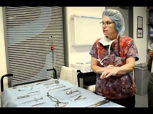 Ortho Instruments & Function 1-3