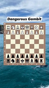 56K views · 502 reactions | Dangerous Gambit that Works Like a Charm | Budapest Gambit Tricks for a Quick Win #chess #chesstactics @followers | Chess Practice | Facebook