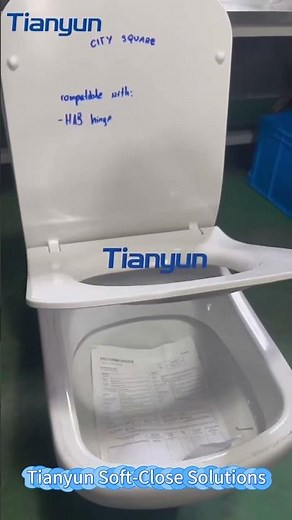 Tianyun Toilet Seat Soft-Close Toilet Seat Performance Explained with Rotary Dampers