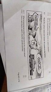 2.1.1 Name TWO types of pollution.2.1.2 Why do municipalities ... | Filo