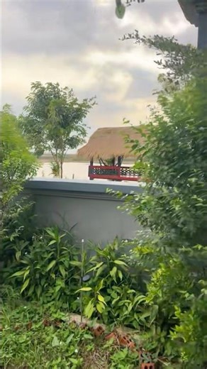 ហាងកាហ្វេ លំហែពេលព្រឹក#automobile #nature #fishing #coffee