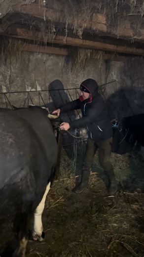 how to use the stun gun correctly #whowillbemylifepartnerta #helpmemakethismakesense