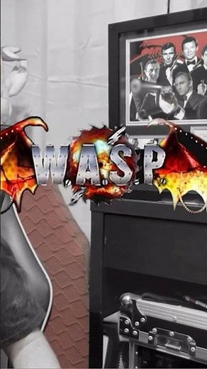 What Does W.A.S.P. Acronym Mean?