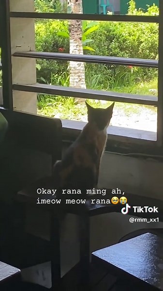 rmm_xx1 (@rmm_xx1)’s videos with original sound - Lolo rems