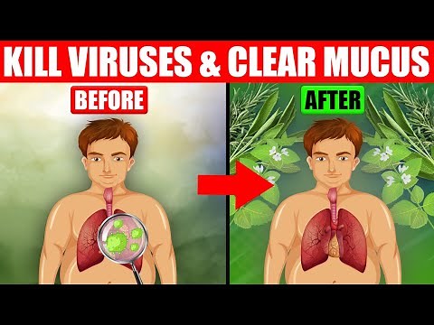 TOP 10 Herbs That Kill Viruses and Clear Mucus from Your Lungs