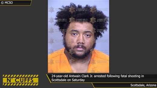 The Maricopa County Sheriff's Office says a man is in custody...