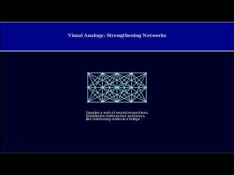 12 - Unlocking the Brain: The Rise of Neurological Enhancement