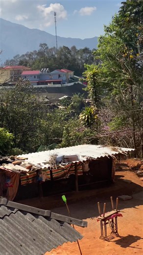 Còn4 ngày thôi còn thiếu ai nào ơ 😙#vợ #sưtử #xuhuong #cưới