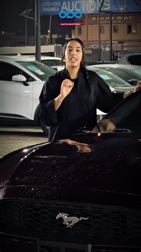 Exciting Sunday Car Auction Deals