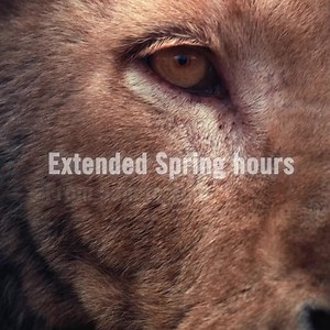 2.1K views · 1.1K reactions | Fresno Chaffee Zoo on Reels | Facebook