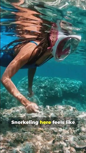 💎 Aitutaki, Cook Islands – The World’s Most Beautiful Lagoon 🌴✨