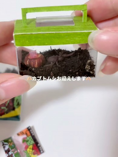 カブトムシのリアルなミニチュア工作