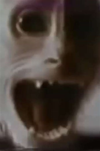 Monkey on Their Backs (1970) - Movie