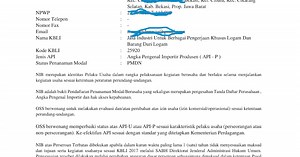 Contoh NIB PT-NIB CV-NIB Perseorangan I Nomor Induk Berusaha (NIB) Untuk Impor Barang