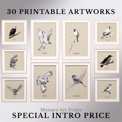 Vintage Bird Wall Art Bundle Printable – 30 Prints, 10 Birds, Raptors & Songbirds - Etsy