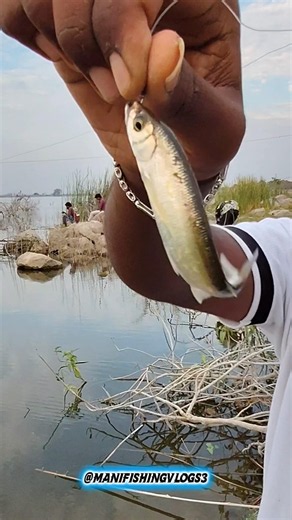 moon fish 🐟🎣 #fishing #explore #fish #food #moonfish #fishingcatching