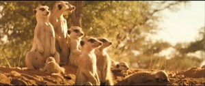 La famille Suricate - Bande-annonce (VF)
