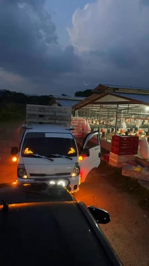 Big men and big madams don’t rely on one source of income.Why? Because when one business slows down, the other steps in to cover up.Now, let me ask you: 👉 Do you have multiple streams of income?If not, it’s time to add poultry farming to your portfolio. 🐓🥚It’s one of the most reliable agribusiness ventures with consistent daily cash flow, strong ROI, and the ability to scale.At Poultry Care, we set up modern poultry farms that run profitably and sustainably — whether for personal income, fami