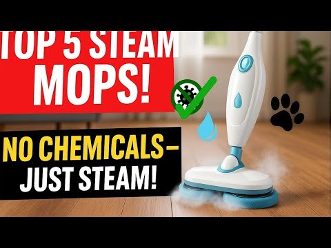 TOP 5 Best Budget Steam Mops