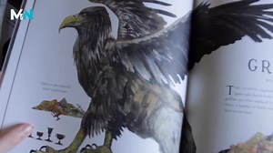 1.7K views · 75 reactions | It's so fun to see Newt's magical creatures come to life in the illustrated edition of "Fantastic Beasts and Where to Find Them". What's your favorite illustration? Amazon: https://amzn.to/3tQCDuH Bookshop: https://bit.ly/3fmoUGN #Affiliate | MuggleNet.com | Facebook