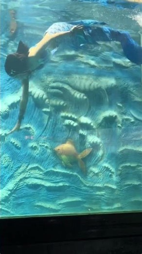 #mermaid #show #korean #artist