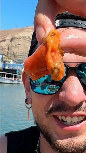 El Piure, el tesoro alimenticio del Mar del Chile 🇨🇱! #piure #arica #comidadelmar #chile