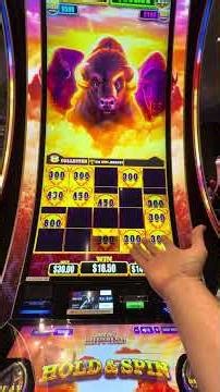 JACKPOT BUFFALO!!!!! #money #slots #casino #gamble #viral #buffalo