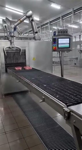 Inside a Fully Automated Meat Processing Factory #Shorts
