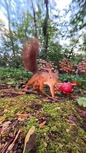 Sometimes a squirrel just needs a better view — and apparently, I’m the perfect lookout post. Use me, why don’t you! My Insta360 setup catches it all: the X4 for everything happening (even behind my back) and two Ace Pro 2 with macro lenses for those close-up moments. 👉 Long videos and bonus clips posted daily on my Patreon! Link in bio. | Squirrels by Fotoscenen