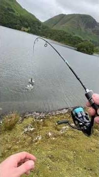 Ultralight fishing for trout in the mountains with my travelrod #ulfishing #travelrod #troutfishing