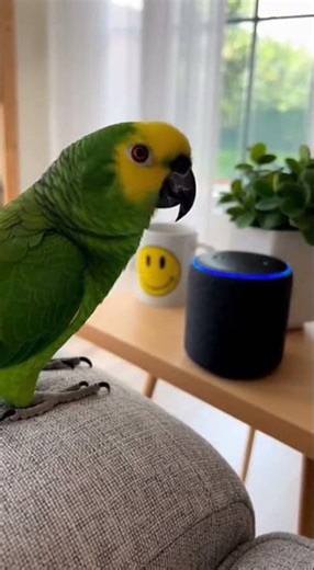 22 de dezembro de 2025