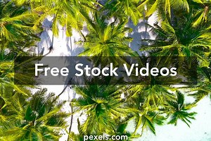 Free Junior Miss Pageant Contest 13(n.E. Inc.) Videos