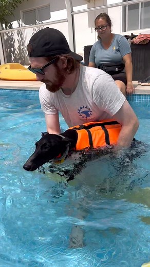 133K views · 9.7K reactions | Juncos journal ! Junco has had the wet...